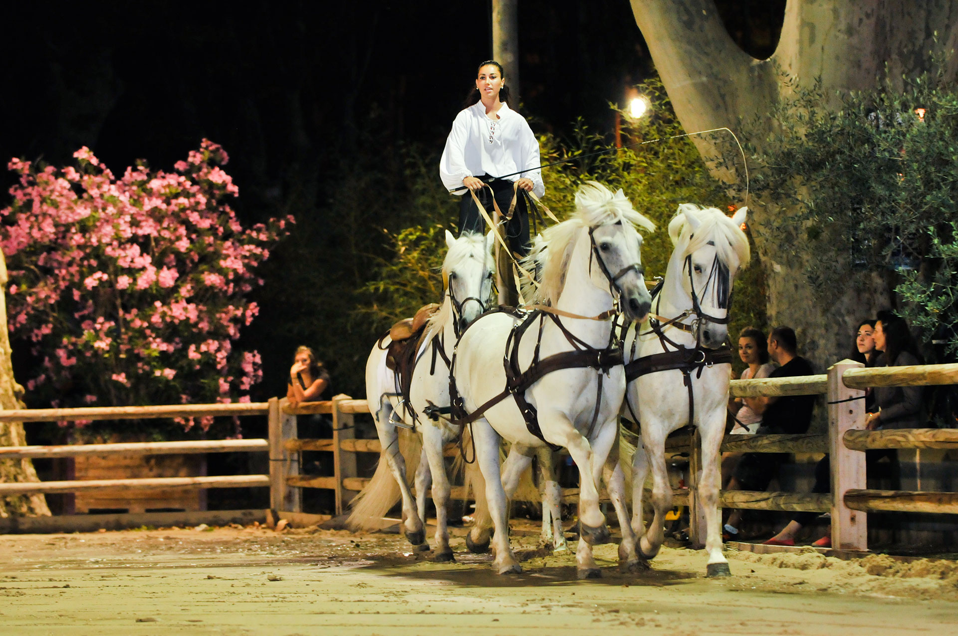 rencontre equestre beaucaire