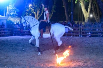 13_Rencontres equestres spectacle samedi _DSC0983-13
