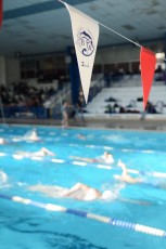 beaucaire-btac-natation-competition-16