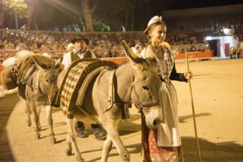 Defile de la Madeleine Beaucaire 21 juillet 2017 (642)