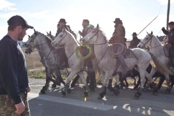 Abrivado Carnavalesque de Noël Beaucaire 11