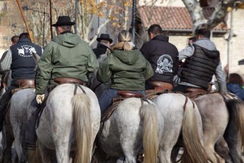 Abrivado Carnavalesque de Noël Beaucaire 35