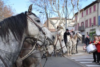 Abrivado Carnavalesque de Noël Beaucaire 36