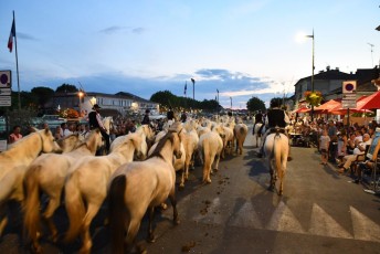 Beaucaire defile fetes de la madeleine 2018 (30)