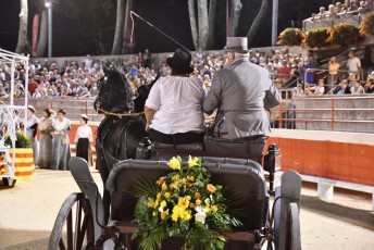 Beaucaire defile fetes de la madeleine 2018 (34)