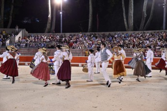 Beaucaire defile fetes de la madeleine 2018 (41)