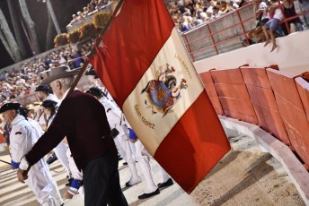 Beaucaire defile fetes de la madeleine 2018 (45)