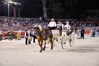 Beaucaire defile fetes de la madeleine 2018 (54)