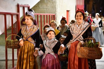 Beaucaire defile fetes de la madeleine 2018 (60)