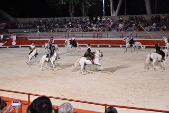 Beaucaire defile fetes de la madeleine 2018 (67)