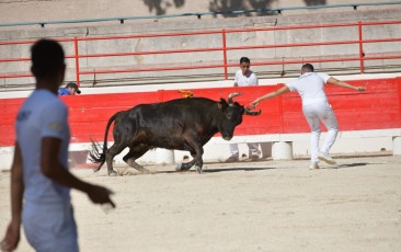 1-Palme_d'argent_2019 (10)