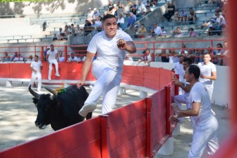 1-Palme_d'argent_2019 (12)