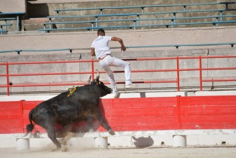 1-Palme_d'argent_2019 (15)