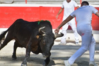 1-Palme_d'argent_2019 (16)