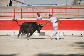 1-Palme_d'argent_2019 (18)