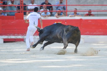 1-Palme_d'argent_2019 (19)