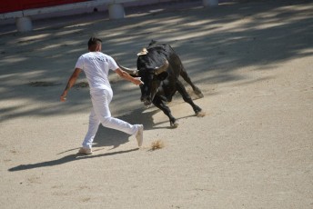 1-Palme_d'argent_2019 (2)