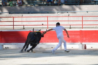 1-Palme_d'argent_2019 (20)