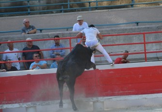 1-Palme_d'argent_2019 (21)