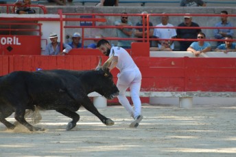 1-Palme_d'argent_2019 (22)