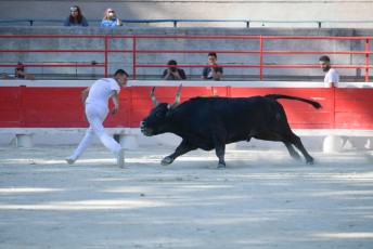 1-Palme_d'argent_2019 (23)