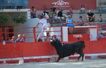 1-Palme_d'argent_2019 (24)