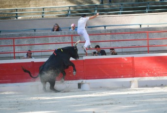 1-Palme_d'argent_2019 (25)