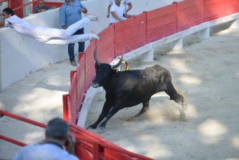 1-Palme_d'argent_2019 (26)