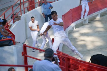 1-Palme_d'argent_2019 (27)