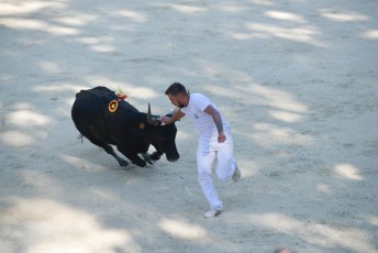 1-Palme_d'argent_2019 (28)