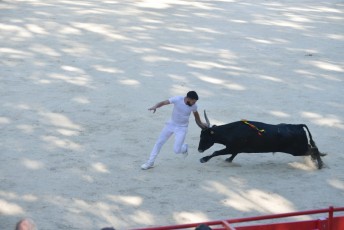 1-Palme_d'argent_2019 (29)