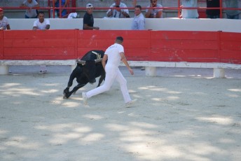 1-Palme_d'argent_2019 (3)