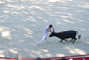 1-Palme_d'argent_2019 (30)