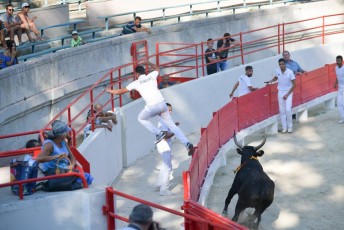 1-Palme_d'argent_2019 (31)