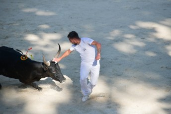 1-Palme_d'argent_2019 (33)