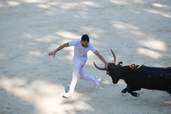 1-Palme_d'argent_2019 (36)