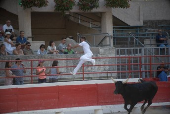 1-Palme_d'argent_2019 (38)