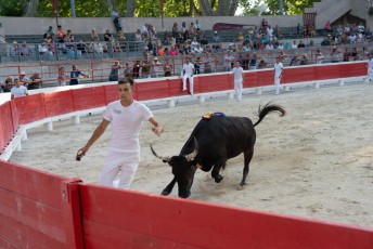 1-Palme_d'argent_2019 (39)