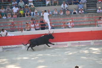 1-Palme_d'argent_2019 (4)