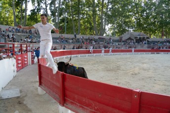 1-Palme_d'argent_2019 (40)