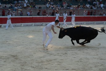 1-Palme_d'argent_2019 (41)