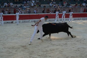 1-Palme_d'argent_2019 (42)