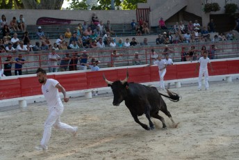 1-Palme_d'argent_2019 (43)