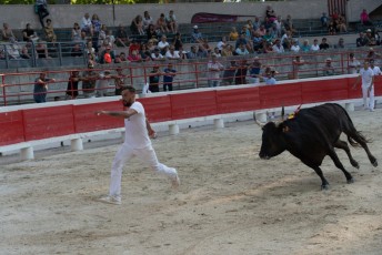 1-Palme_d'argent_2019 (44)