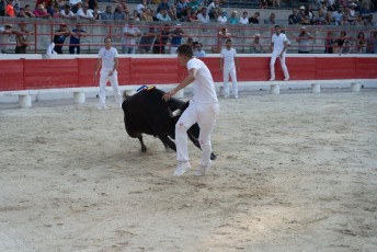 1-Palme_d'argent_2019 (45)