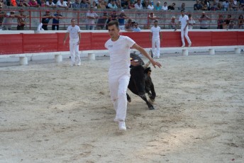 1-Palme_d'argent_2019 (46)