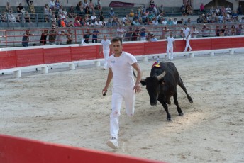 1-Palme_d'argent_2019 (47)