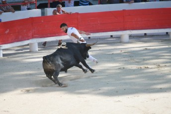 1-Palme_d'argent_2019 (5)