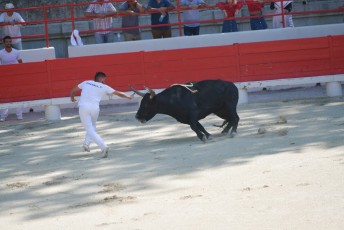 1-Palme_d'argent_2019 (6)