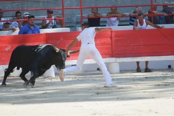 1-Palme_d'argent_2019 (7)